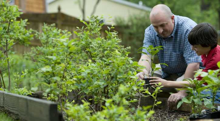 man and boy gardening