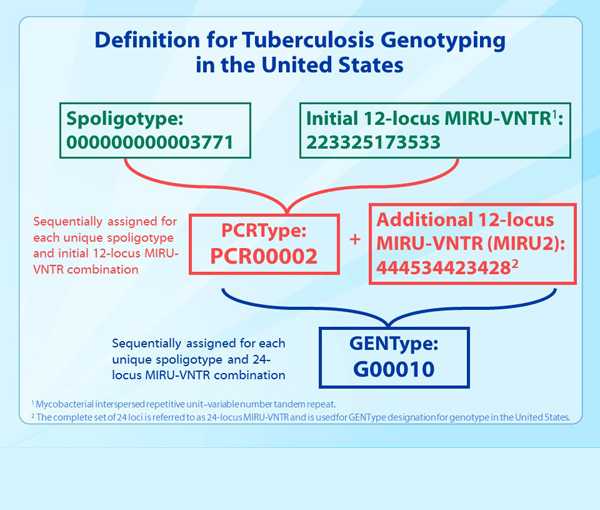 Slide 32