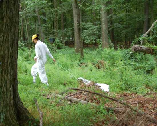 A researcher dragging for ticks