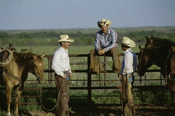 Rural photo of cowboys talking