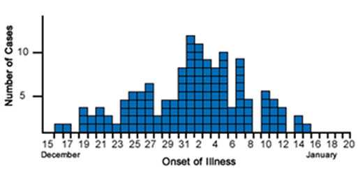 In this example, an outbreak of salmonellosis resulted from contaminated salami.  There is a prolonged occurrence of cases as they are exposed to the salami over a two month period, from December 2009 to January 2010.