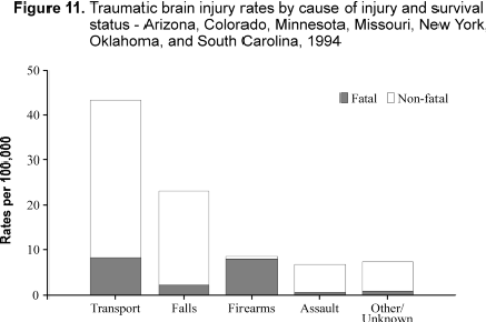 	Figure 11. Traumatic brain injury rates caused by cause of injury and survival status - Arizona, Colorado, Minnesota, Missouri, New York, Oklahoma, and South Carolina, 1994