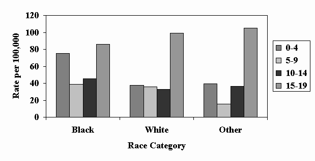 	Slide 5 - Figure 3: TBI Rates in Children and Youth by Age and Race, 1997