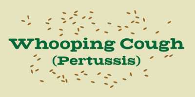 Whooping Cough (Pertussis)