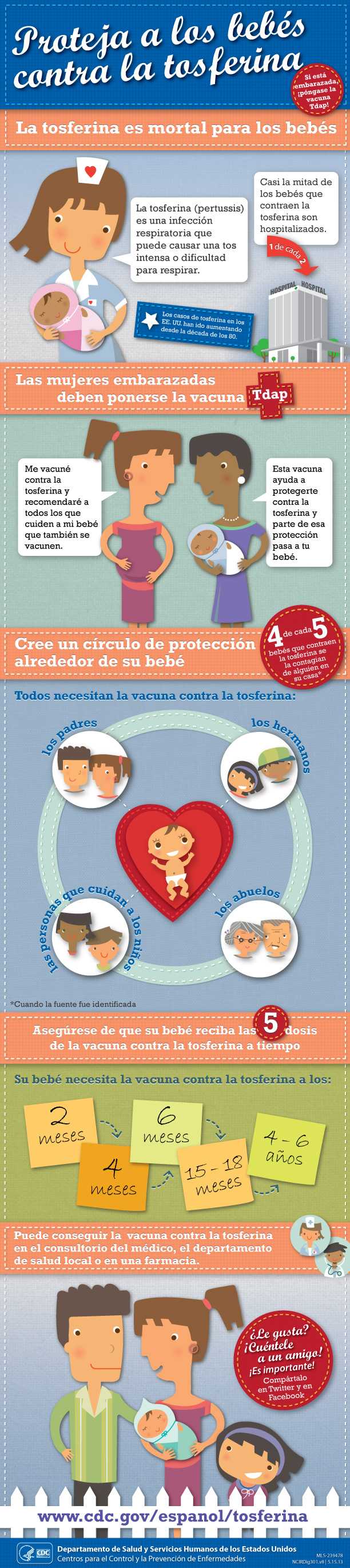 Proteja a los bebés contra la tosferina - infographic