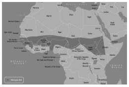 Meningococcal Endemic Areas map as described in the Immunogenicity and Vaccine Efficacy section