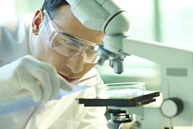 scientist working with microscope and specimen