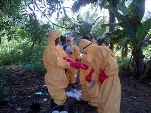 	Workers wearing protective clothing