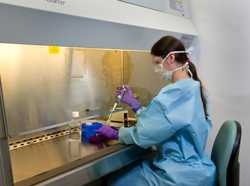 Woman working in a laboratory