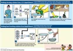 Cleaning and Hand Washing with 2.6% Liquid Bleach