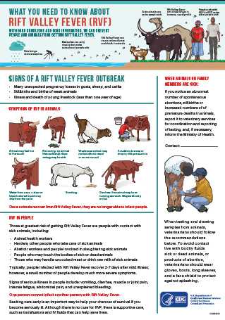 RVF Information for Veterinarians poster