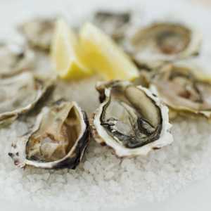 Plate of Oysters