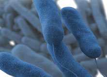 Legionnaires' Disease