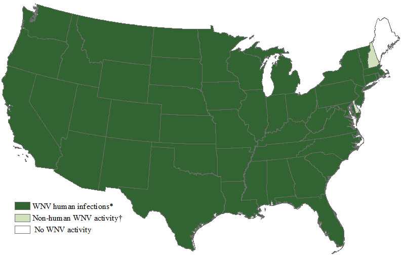 This map shows the incidence of human West Nile virus neuroinvasive disease (e.g., meningitis, encephalitis, or acute flaccid paralysis) by state for 2016.  West Nile virus infections in humans have been reported to CDC ArboNET from the following states: Alabama, Arizona, Arkansas, California, Colorado, Connecticut, District of Columbia, Florida, Georgia, Idaho, Illinois, Indiana, Iowa, Kansas, Kentucky, Louisiana, Maryland, Massachusetts, Michigan, Minnesota, Mississippi, Missouri, Montana, Nebraska, Nevada, New Jersey, New Mexico, New York, North Carolina, North Dakota, Ohio, Oklahoma, Oregon, Pennsylvania, Rhode Island, South Carolina, South Dakota, Tennessee, Texas, Utah, Vermont, Virginia, Washington, West Virginia, Wisconsin, and Wyoming.