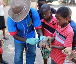 Children bring their puppies to the vaccination event in their neighborhood.