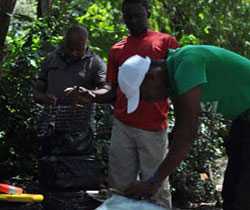 Team of rabies surveillance officers prepares traps for mongooses, another animal known to spread rabies in the Caribbean islands, to study the rabies burden in this animal population.