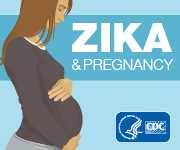 Zika and Pregnancy button.  